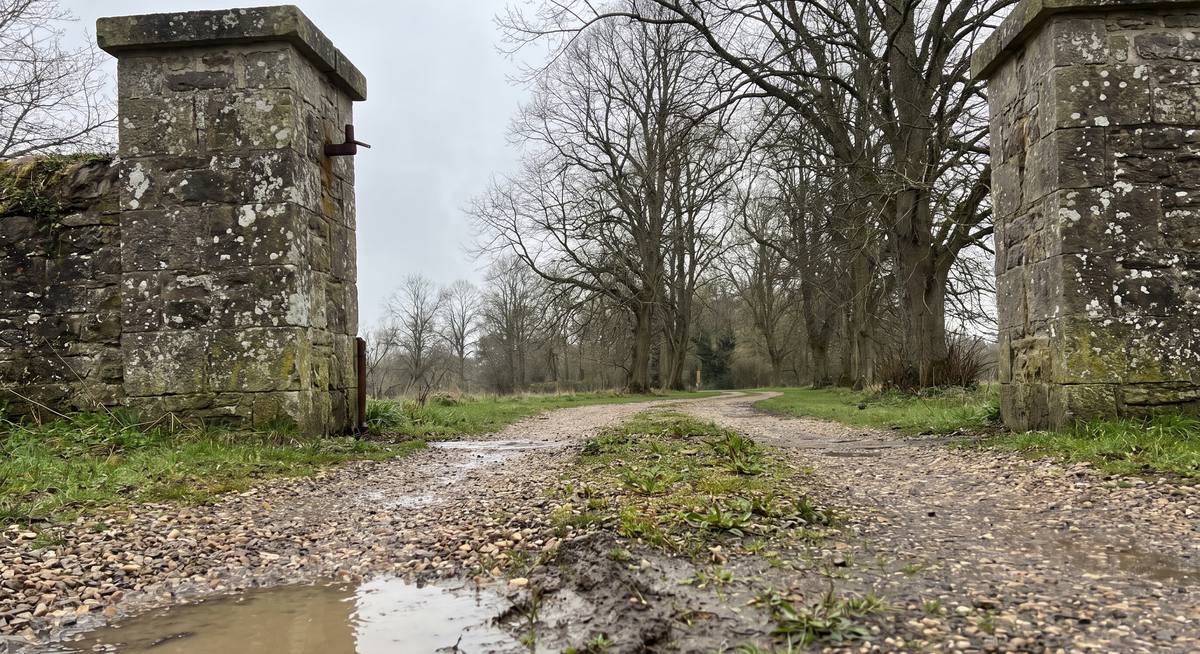 Two weathered stone gate piers with no gates hung between them, a rusted hinge pin still set in the stone, a gravel drive running away between bare limes