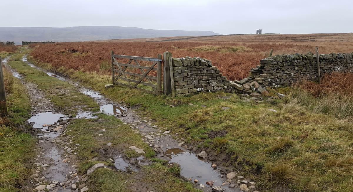 A stony track running up through rust-coloured bracken past a drystone wall, with a small stone tower on the ridge
